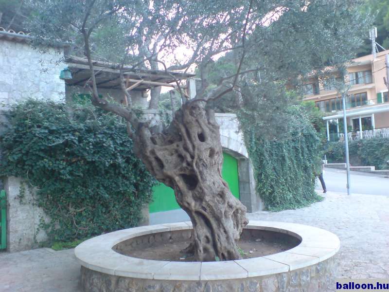 2006-10-25_18.JPG