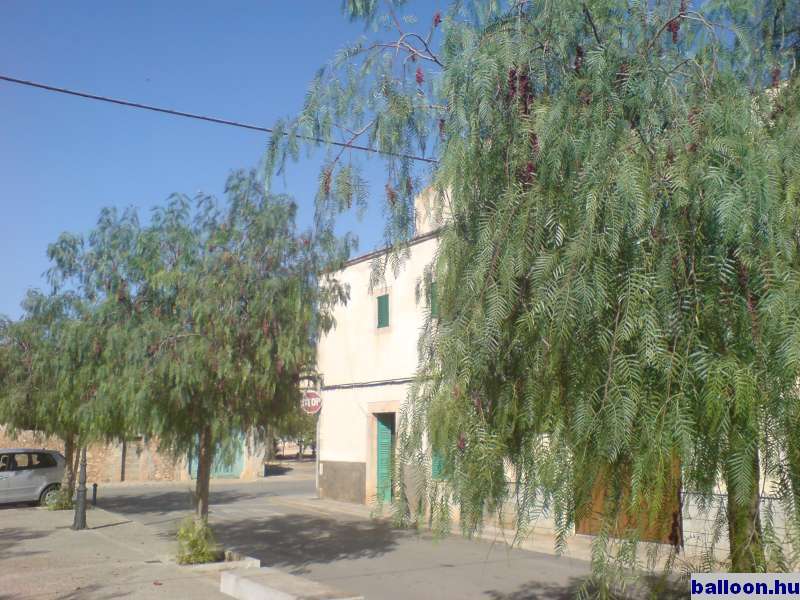 2006-10-26_06.JPG