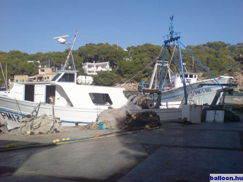 2006-10-26_10.JPG