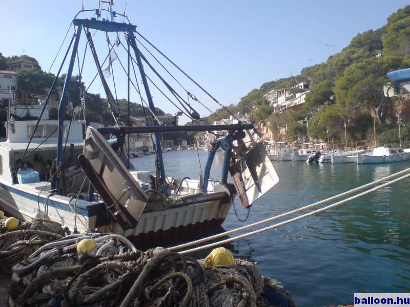2006-10-26_11.JPG