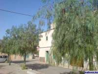 2006-10-26_06.JPG