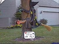 Rep�l�s po�nok k�pekben 